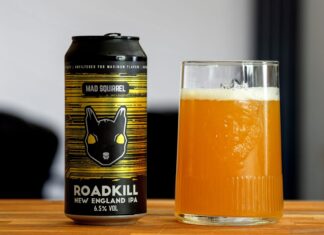 Puszka Mad Squirrel Roadkill New England IPA i pełna szklanka piwa